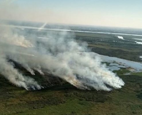 Incendios-Humedales-03