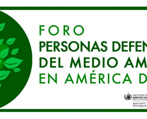 foro_ddhh-defensoras-ambientales-onu